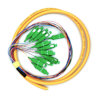 Pigtail optic Tuolima 12 fibre colorate SC/APC 900µm 1.5m