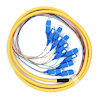 Pigtail optic Tuolima 12 fibre colorate SC/UPC 900µm 1.5m